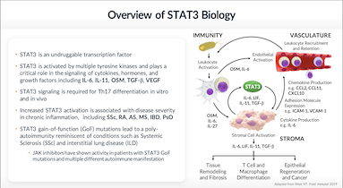 Utilizing Degraders To Modulate B & T Cell Targets For Autoimmune ...